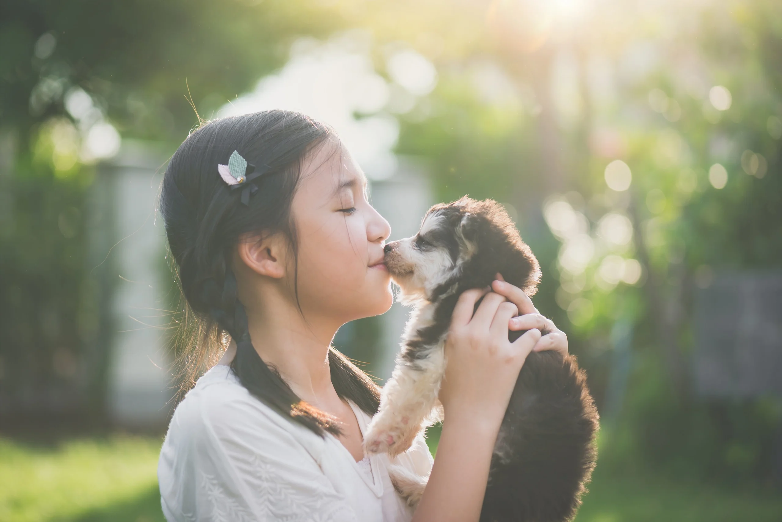犬と少女