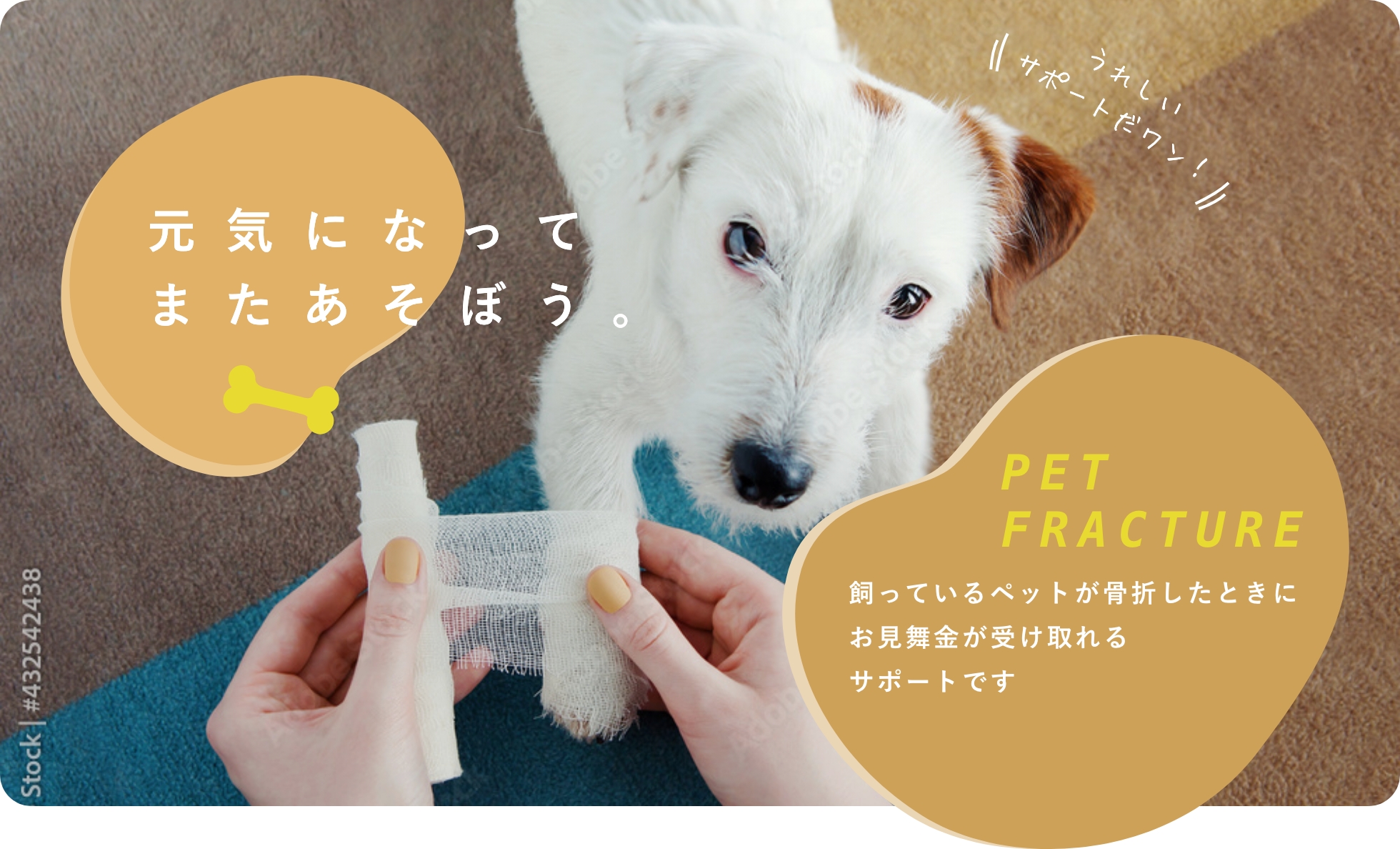 骨折時のサポート